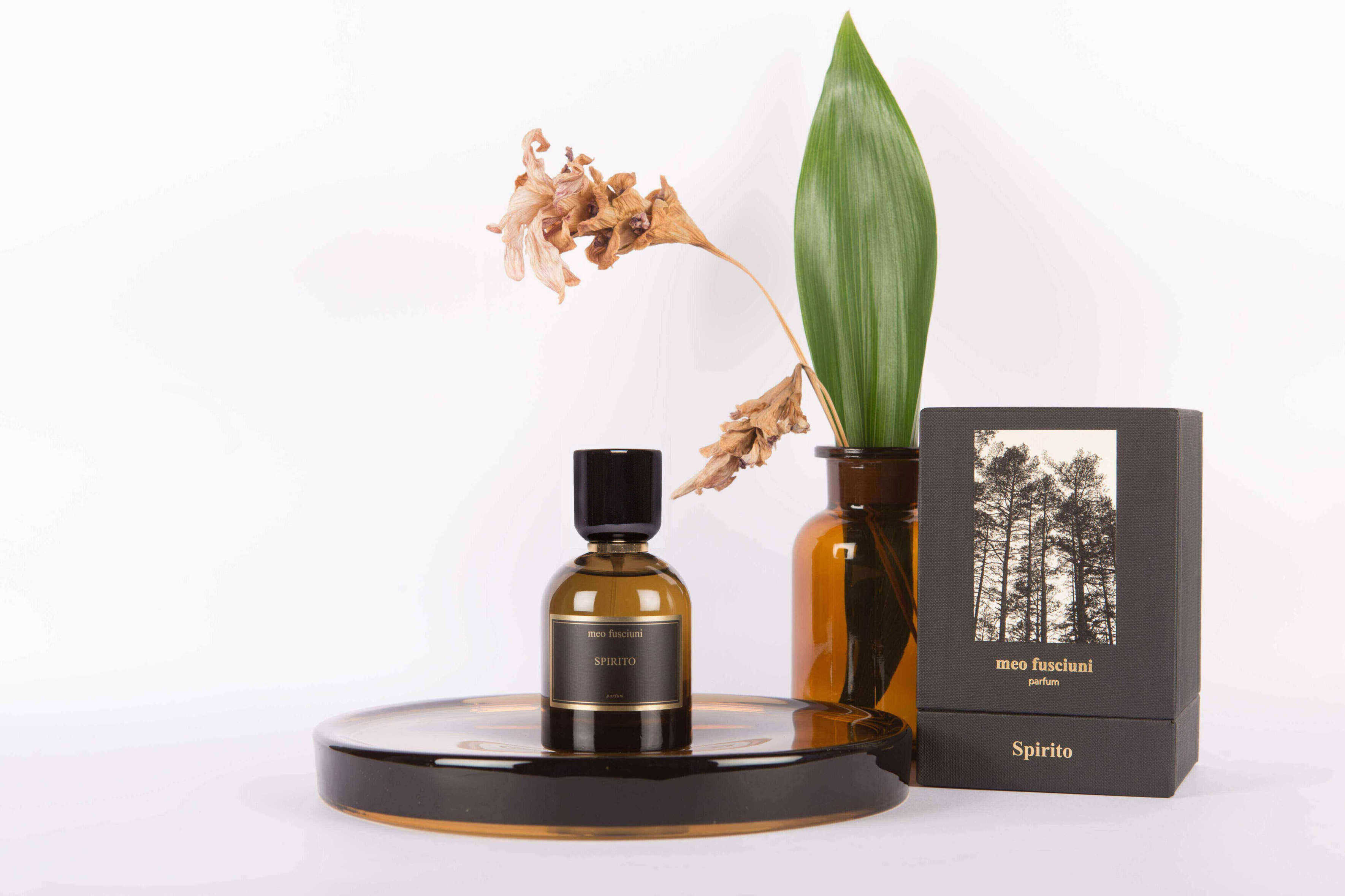 Miniatura Spirito - Meo Fusciuni