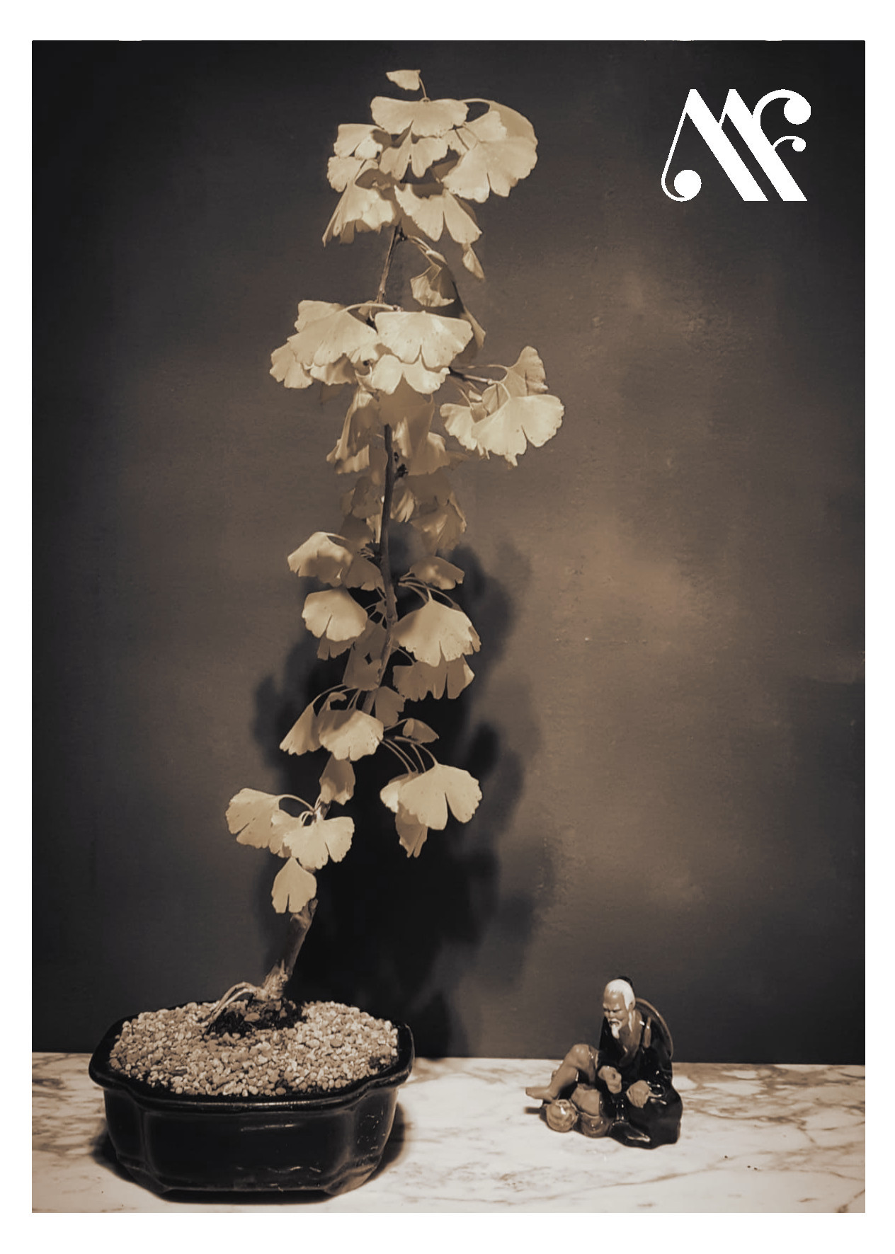 Miniatura Sogni - Meo Fusciuni