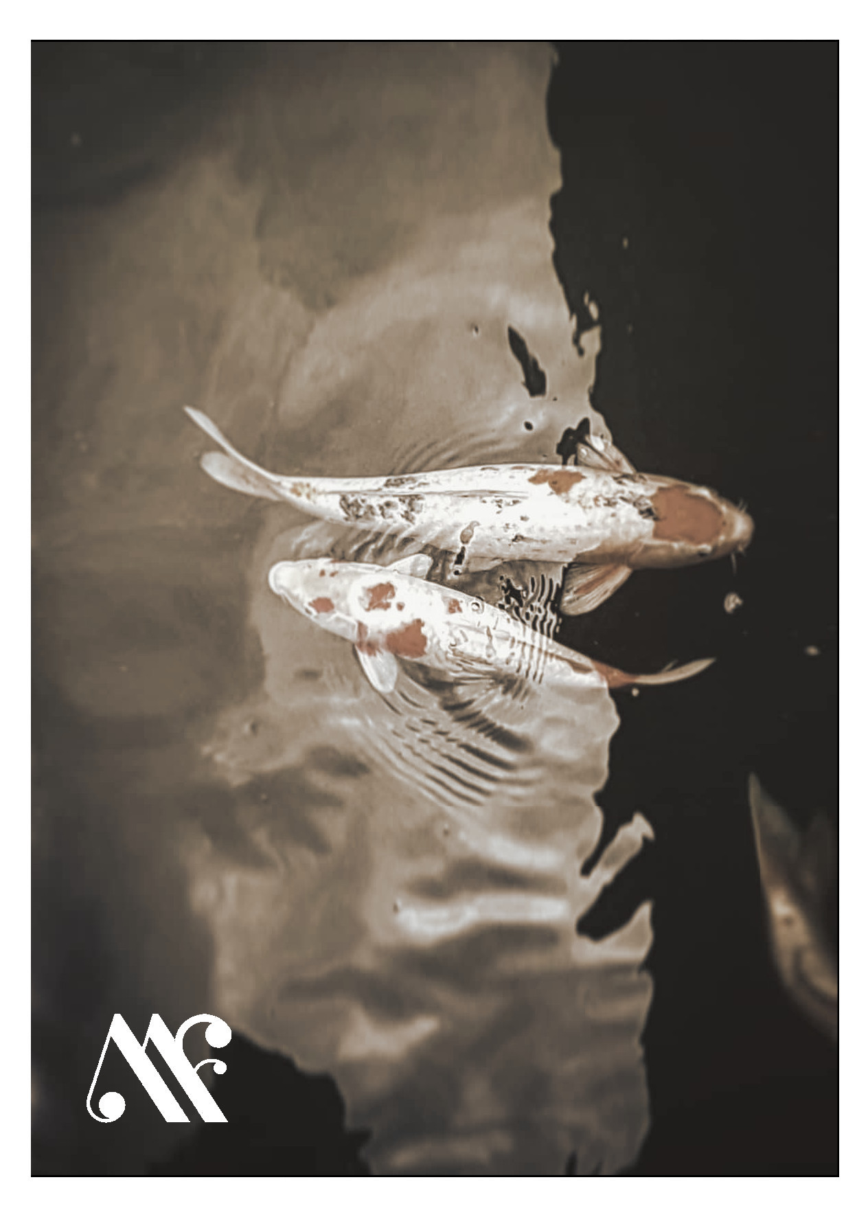 Miniatura Sogni - Meo Fusciuni