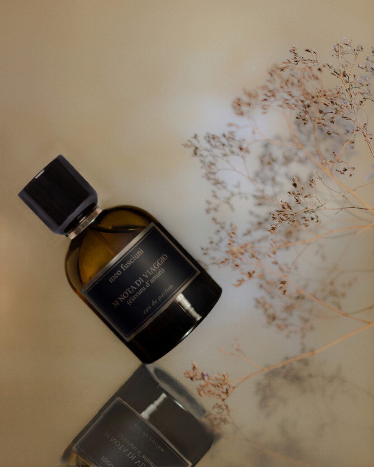 Miniatura 3# Nota di viaggio - Meo Fusciuni