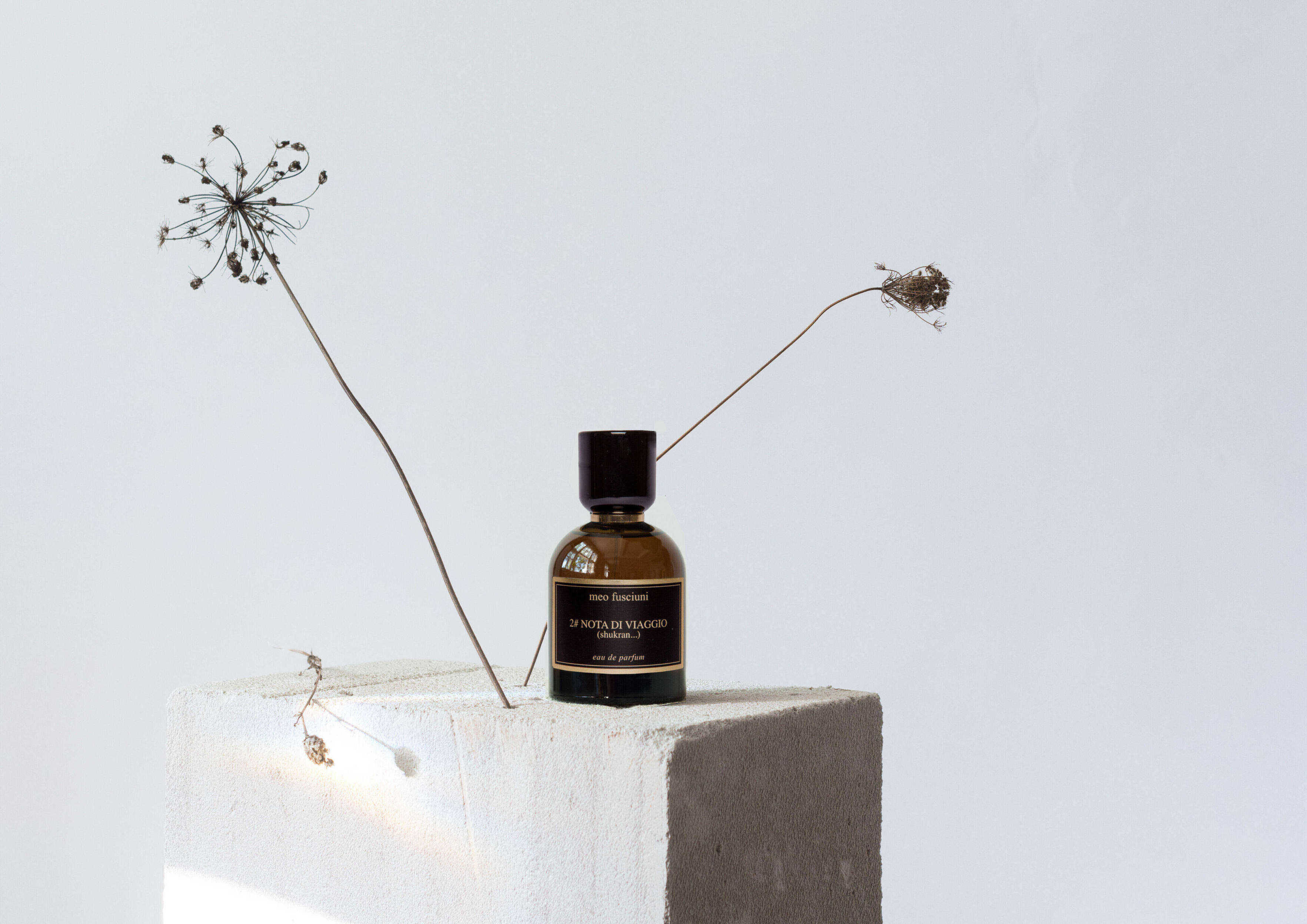 Miniatura 2# Nota di viaggio - Meo Fusciuni